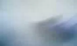 سکس دهانی پرشور از دو پورن زنان کیردار سبزه زرق و برق دار